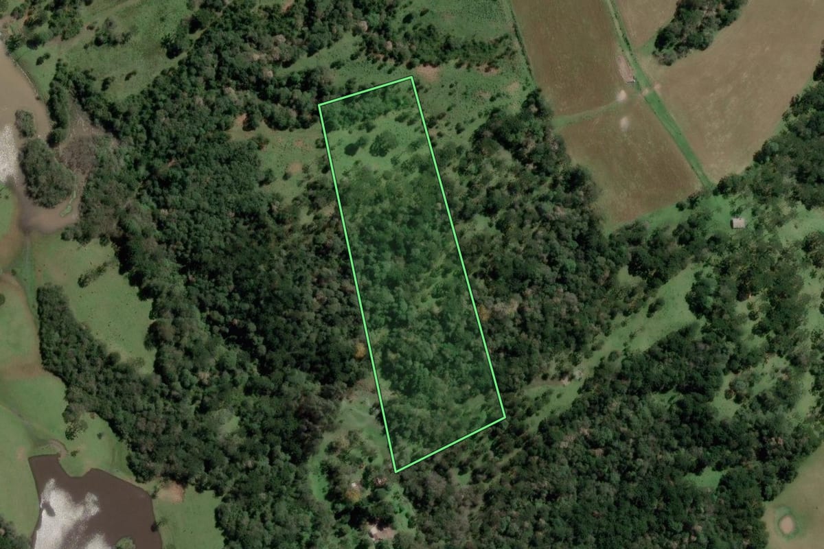 Imagem de satélite do imóvel rural em Bocaina do Sul (SC), com o contorno declarado no CAR desenhado por cima.
