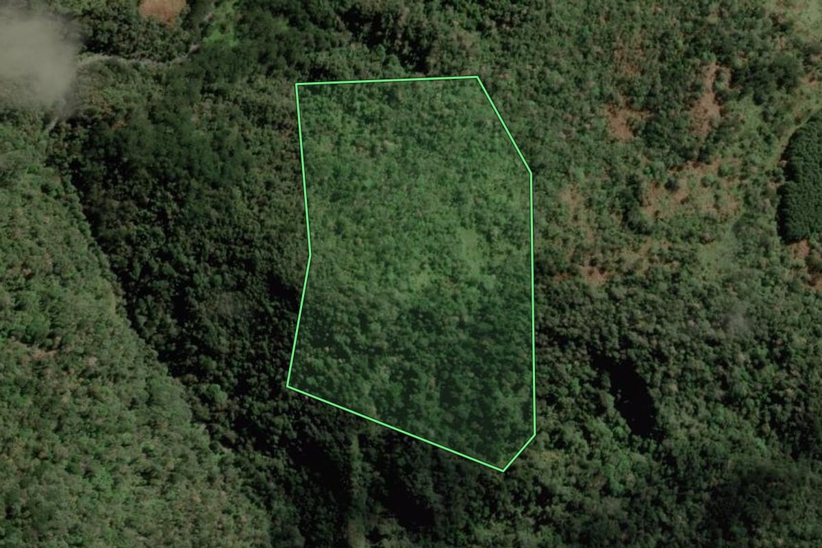 Imagem de satélite do imóvel rural em Bocaina do Sul (SC), com o contorno declarado no CAR desenhado por cima.