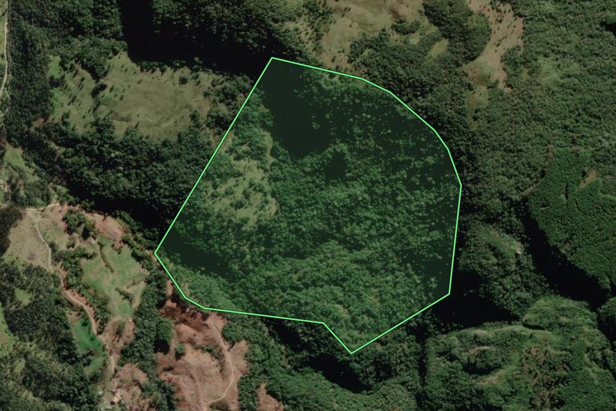 Imagem de satélite do imóvel rural em Bocaina do Sul (SC), com o contorno declarado no CAR desenhado por cima.