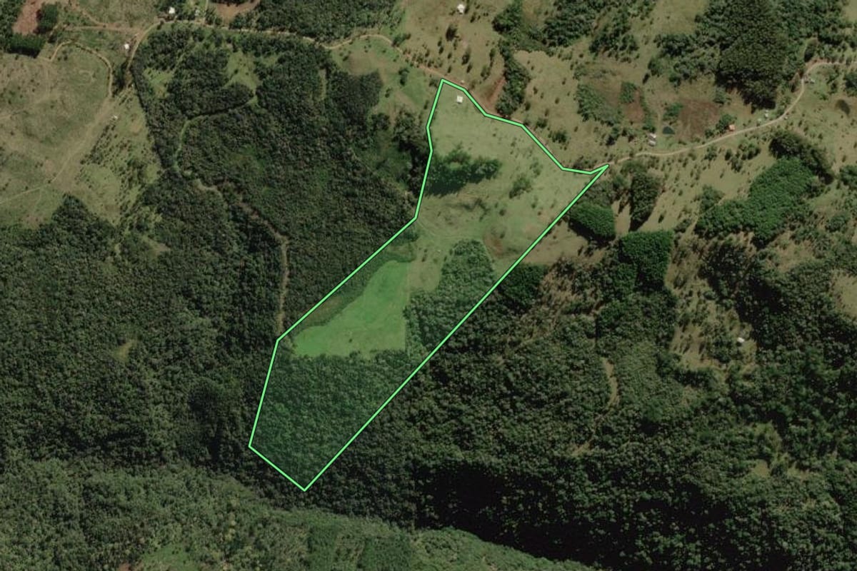 Imagem de satélite do imóvel rural em Bocaina do Sul (SC), com o contorno declarado no CAR desenhado por cima.