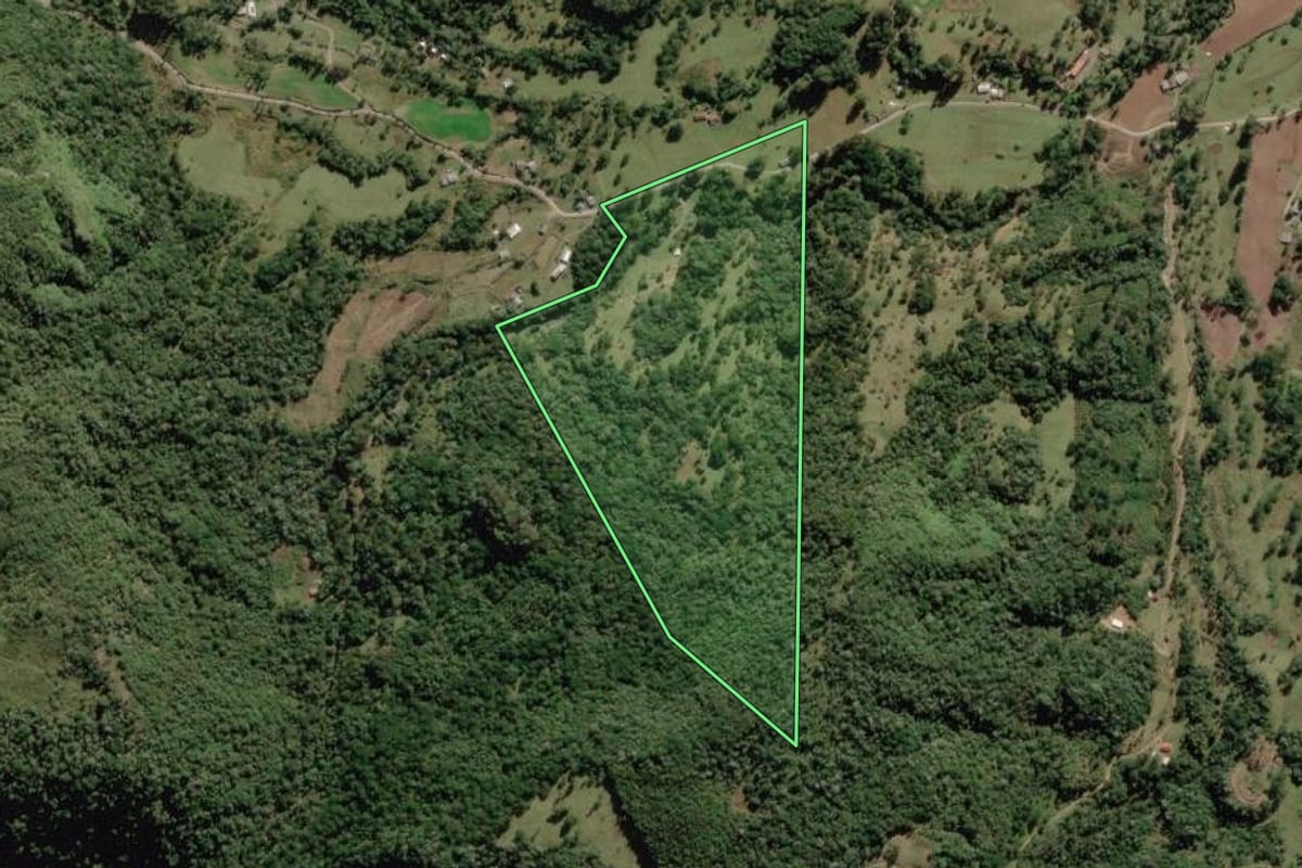 Imagem de satélite do imóvel rural em Bocaina do Sul (SC), com o contorno declarado no CAR desenhado por cima.
