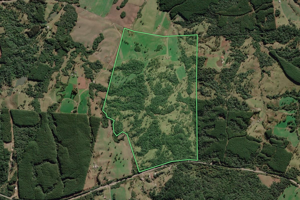 Imagem de satélite do imóvel rural em Bocaina do Sul (SC), com o contorno declarado no CAR desenhado por cima.
