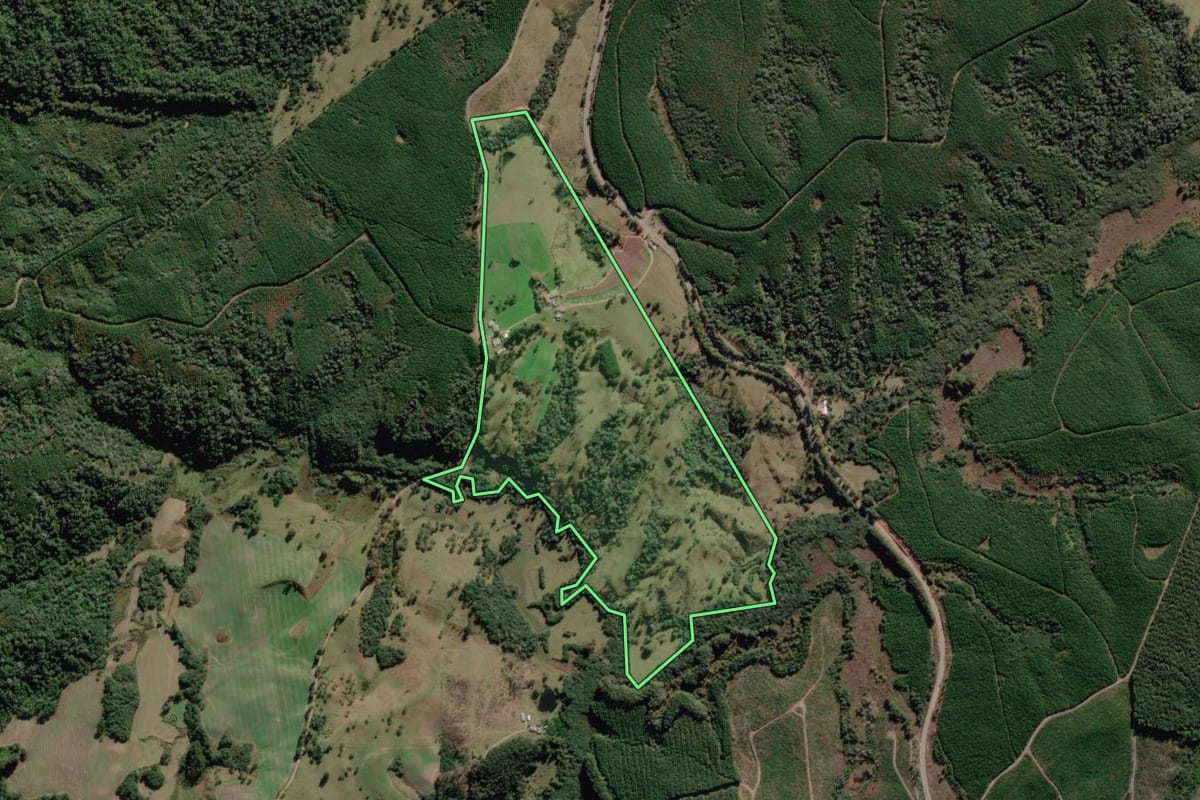 Imagem de satélite do imóvel rural em Bocaina do Sul (SC), com o contorno declarado no CAR desenhado por cima.