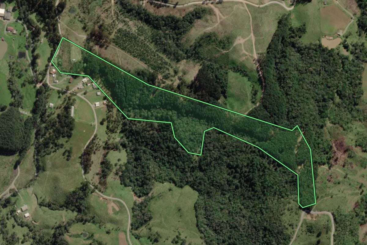 Imagem de satélite do imóvel rural em Bocaina do Sul (SC), com o contorno declarado no CAR desenhado por cima.