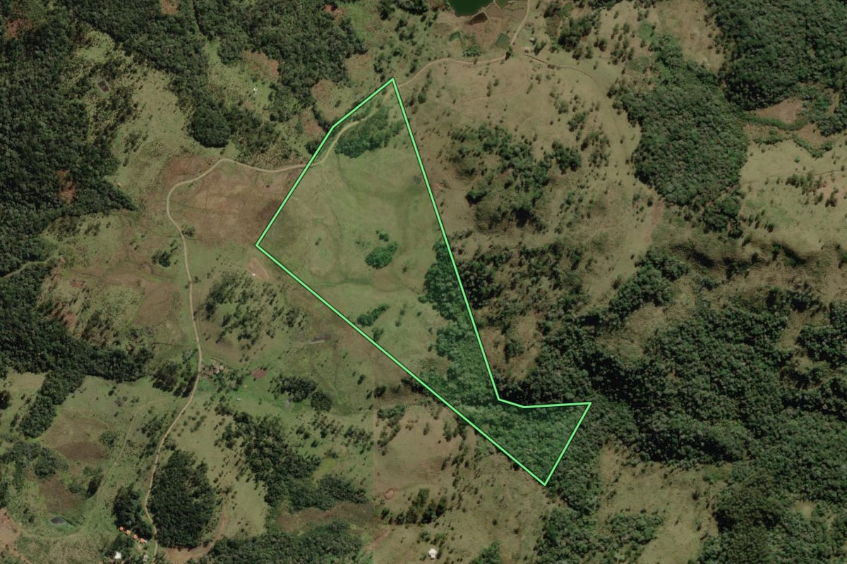 Imagem de satélite do imóvel rural em Bocaina do Sul (SC), com o contorno declarado no CAR desenhado por cima.