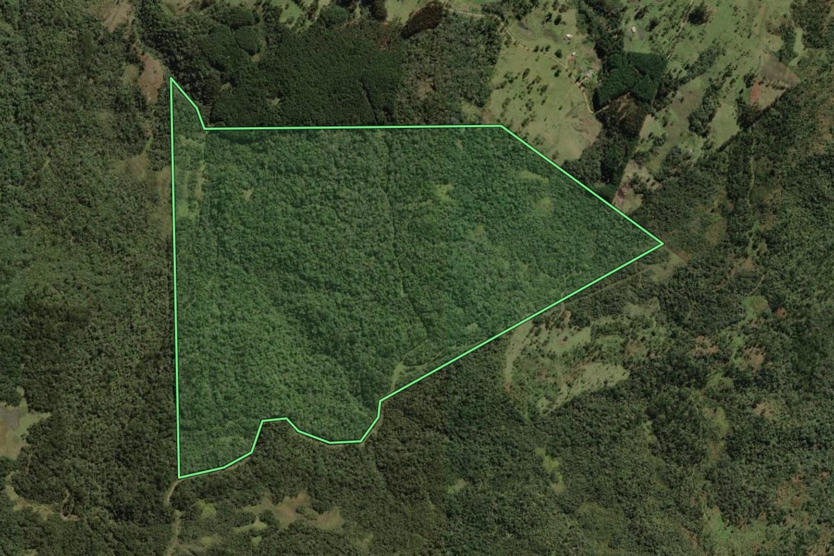 Imagem de satélite do imóvel rural em Bocaina do Sul (SC), com o contorno declarado no CAR desenhado por cima.