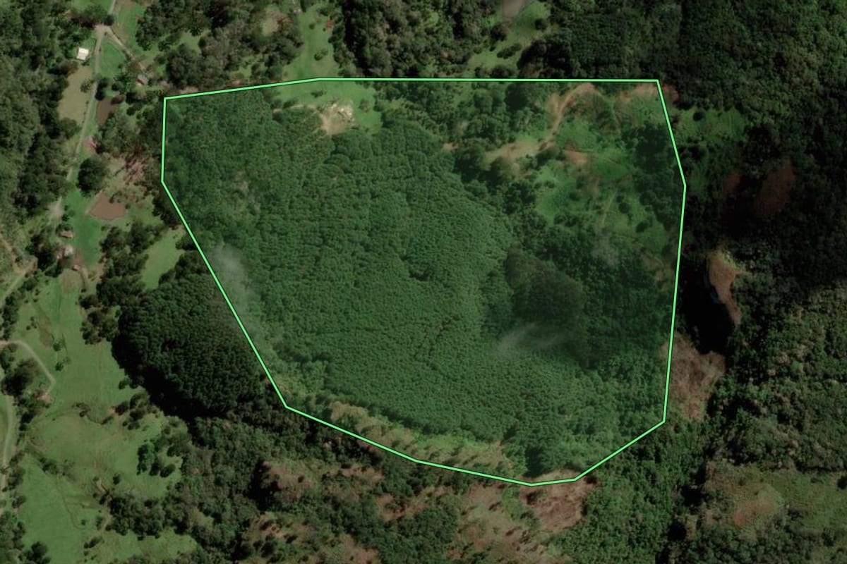 Imagem de satélite do imóvel rural em Bocaina do Sul (SC), com o contorno declarado no CAR desenhado por cima.