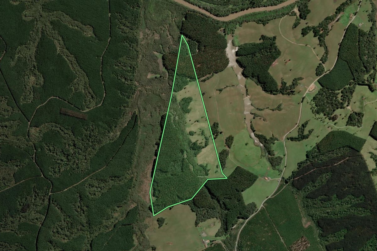 Imagem de satélite do imóvel rural em Bocaina do Sul (SC), com o contorno declarado no CAR desenhado por cima.