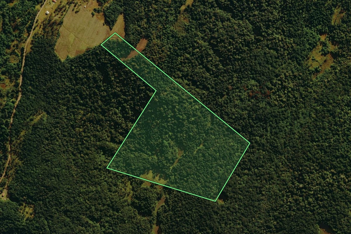 Imagem de satélite do imóvel rural em Bom Jardim da Serra (SC), com o contorno declarado no CAR desenhado por cima.