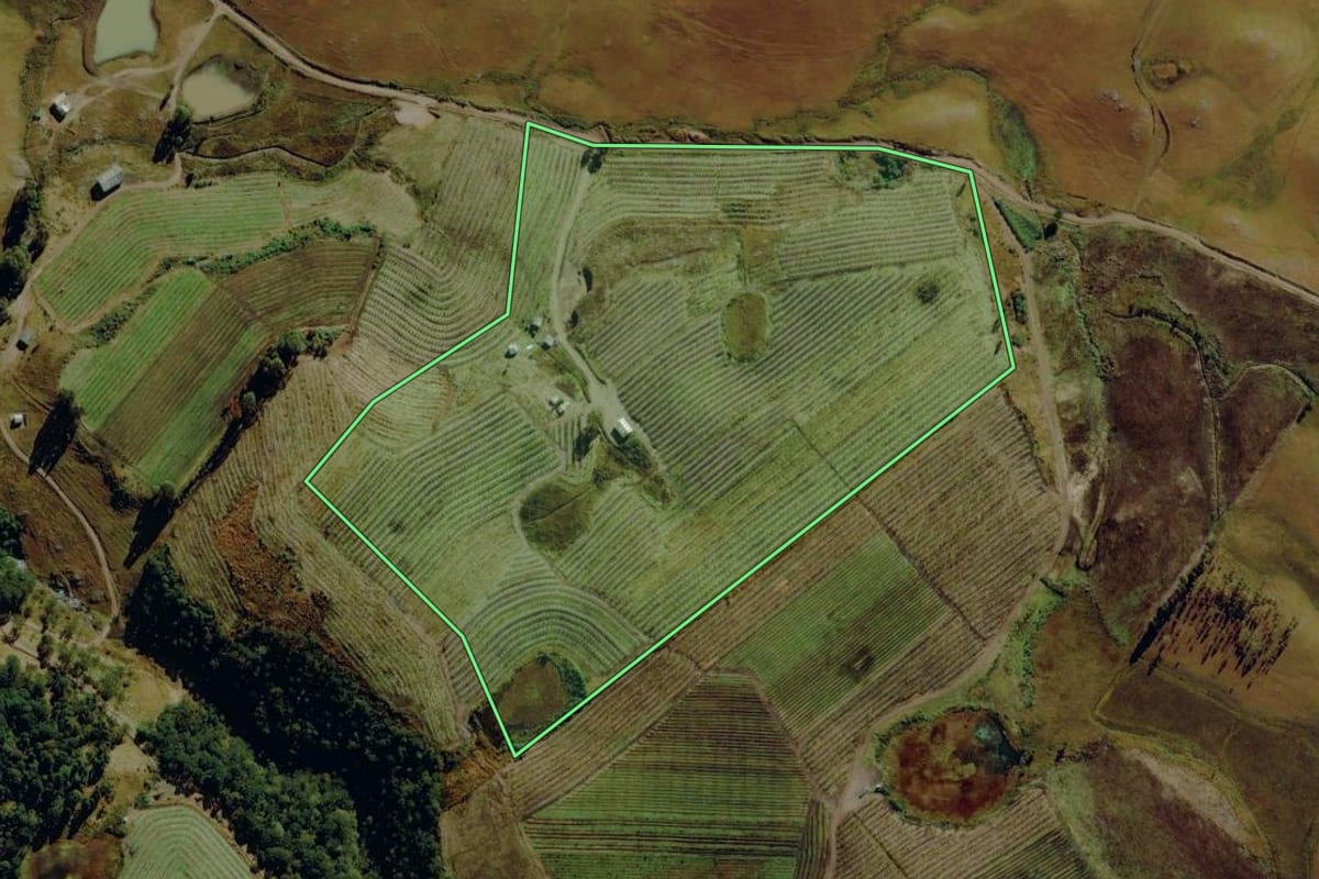Imagem de satélite do imóvel rural em Bom Jardim da Serra (SC), com o contorno declarado no CAR desenhado por cima.