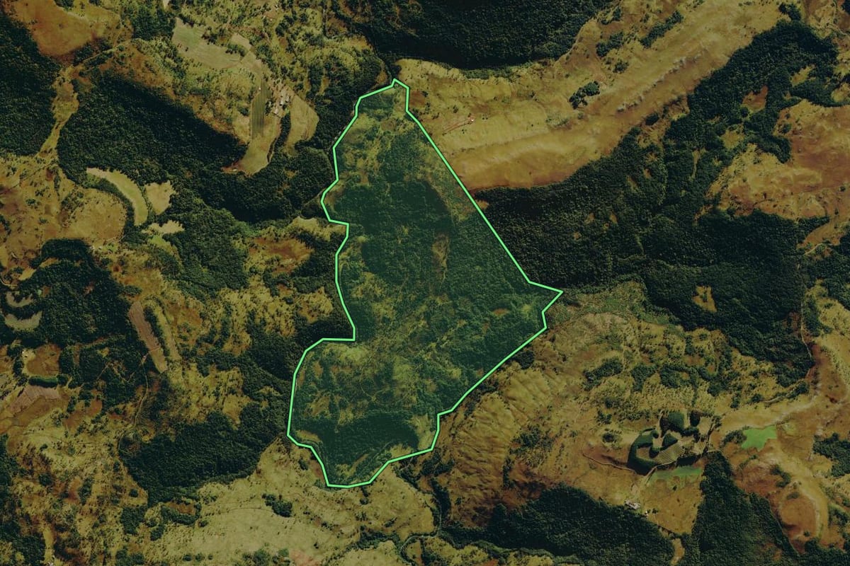 Imagem de satélite do imóvel rural em Bom Jardim da Serra (SC), com o contorno declarado no CAR desenhado por cima.