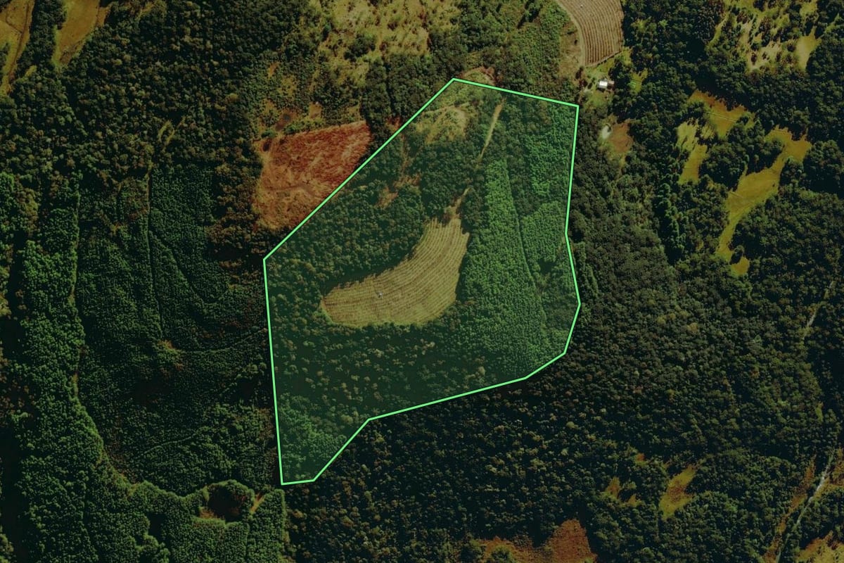 Imagem de satélite do imóvel rural em Bom Jardim da Serra (SC), com o contorno declarado no CAR desenhado por cima.