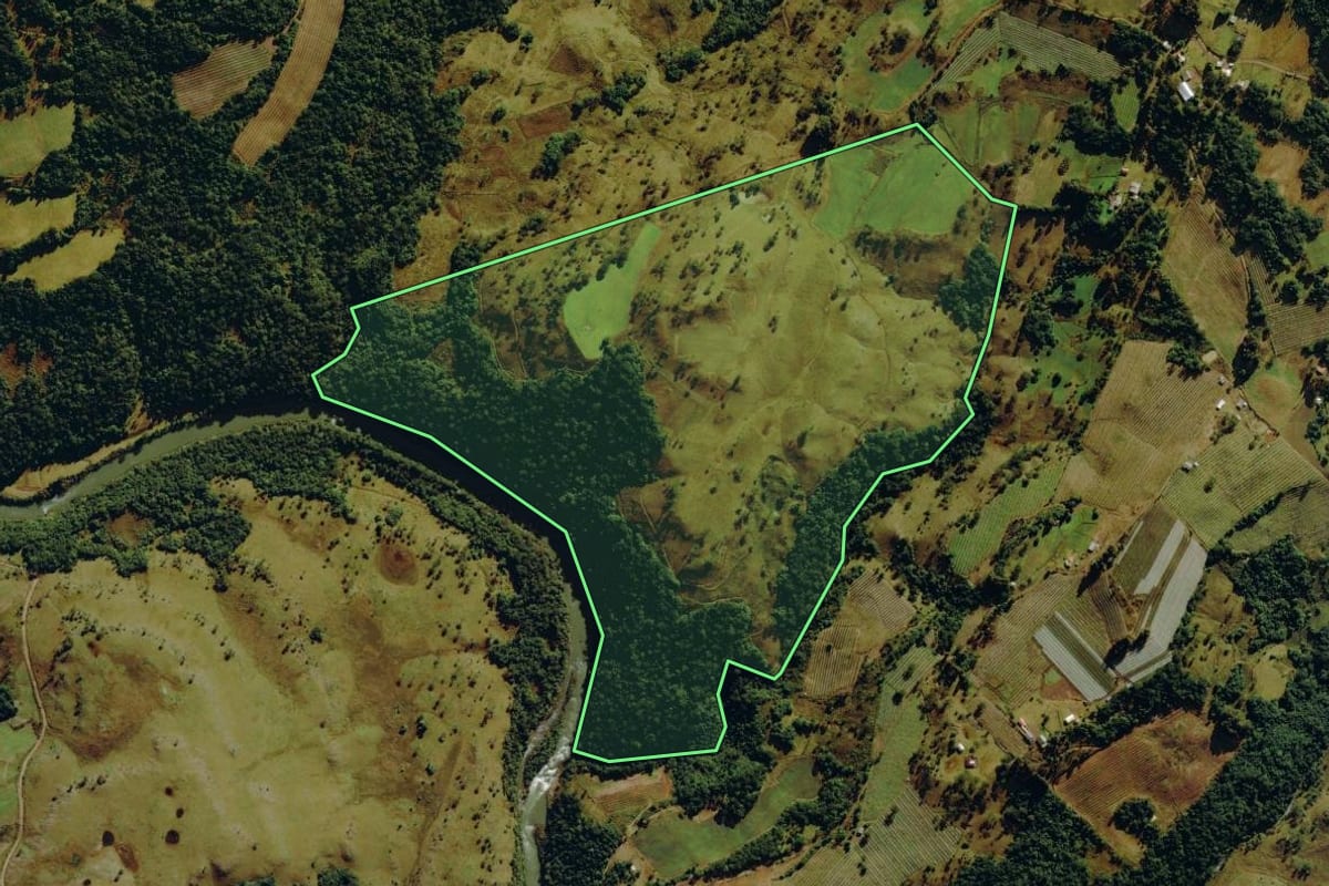 Imagem de satélite do imóvel rural em Bom Jardim da Serra (SC), com o contorno declarado no CAR desenhado por cima.