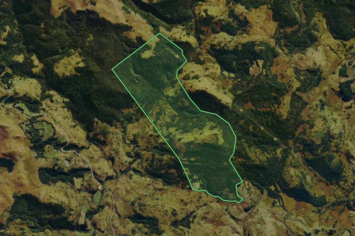 Imagem de satélite do imóvel rural em Bom Jardim da Serra (SC), com o contorno declarado no CAR desenhado por cima.