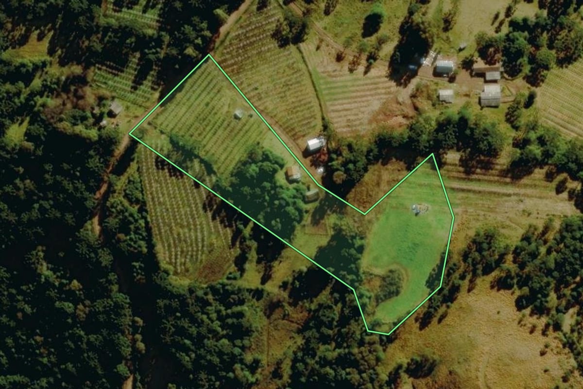 Imagem de satélite do imóvel rural em Bom Jardim da Serra (SC), com o contorno declarado no CAR desenhado por cima.