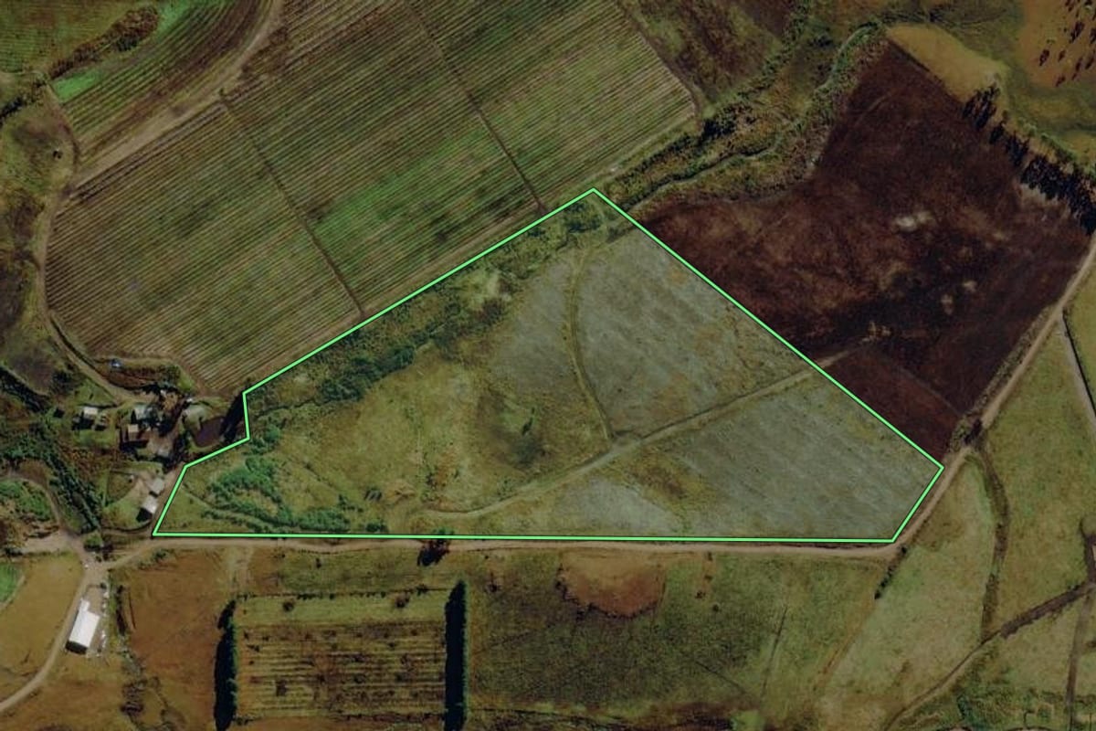 Imagem de satélite do imóvel rural em Bom Jardim da Serra (SC), com o contorno declarado no CAR desenhado por cima.