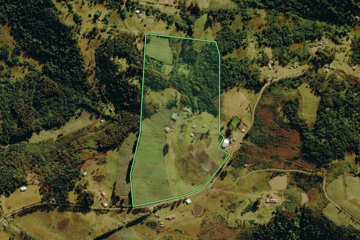 Imagem de satélite do imóvel rural em Bom Jardim da Serra (SC), com o contorno declarado no CAR desenhado por cima.