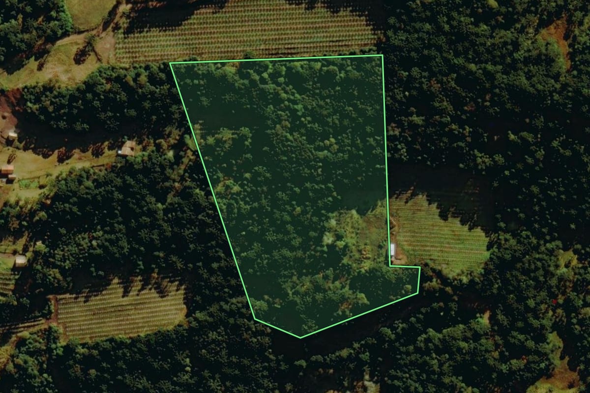 Imagem de satélite do imóvel rural em Bom Jardim da Serra (SC), com o contorno declarado no CAR desenhado por cima.