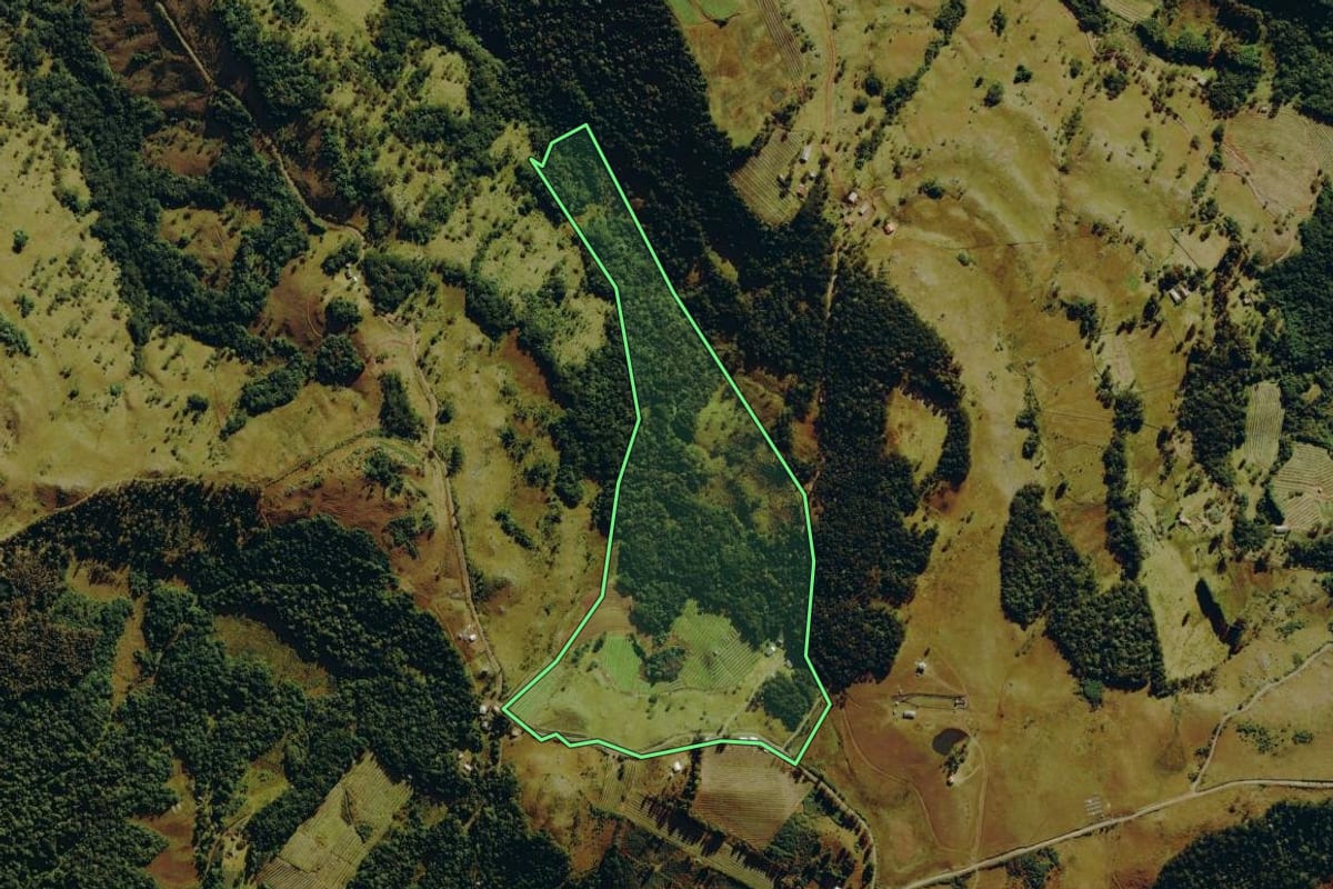 Imagem de satélite do imóvel rural em Bom Jardim da Serra (SC), com o contorno declarado no CAR desenhado por cima.