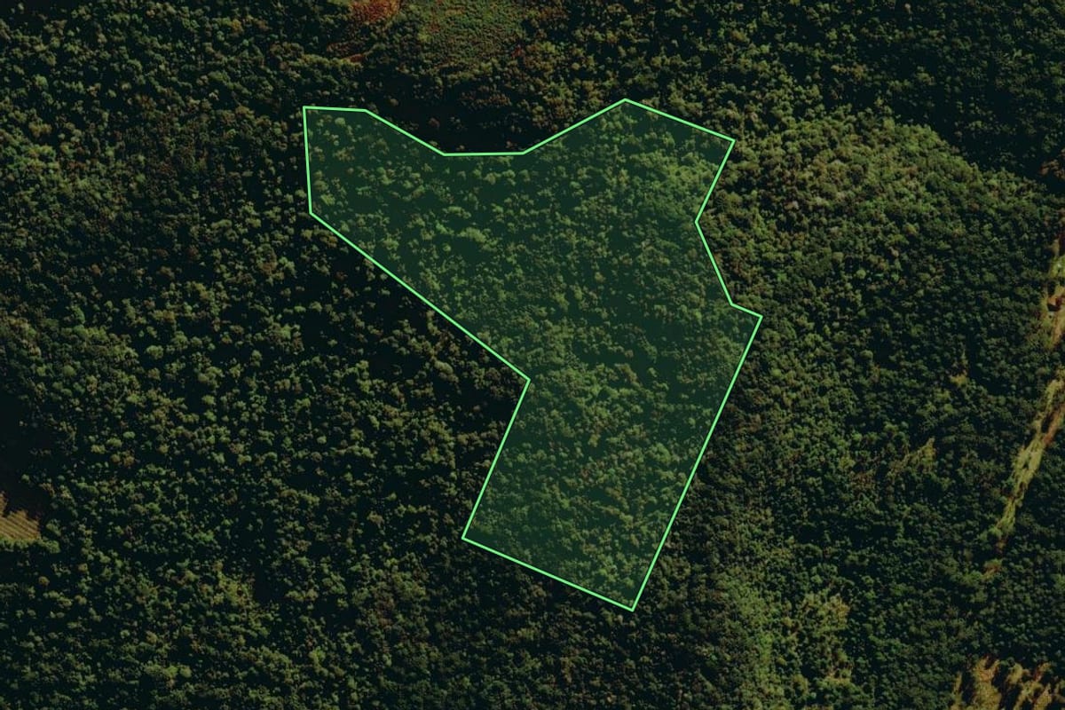 Imagem de satélite do imóvel rural em Bom Jardim da Serra (SC), com o contorno declarado no CAR desenhado por cima.