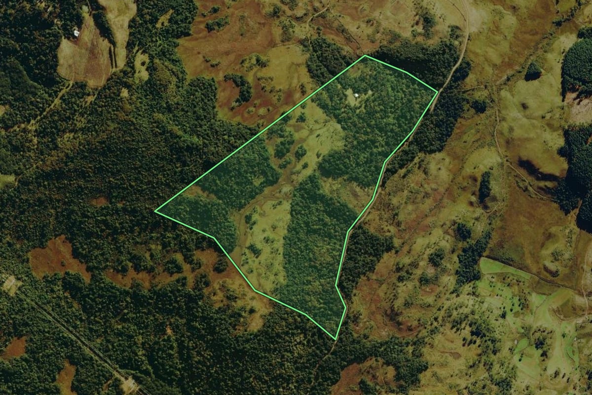 Imagem de satélite do imóvel rural em Bom Jardim da Serra (SC), com o contorno declarado no CAR desenhado por cima.