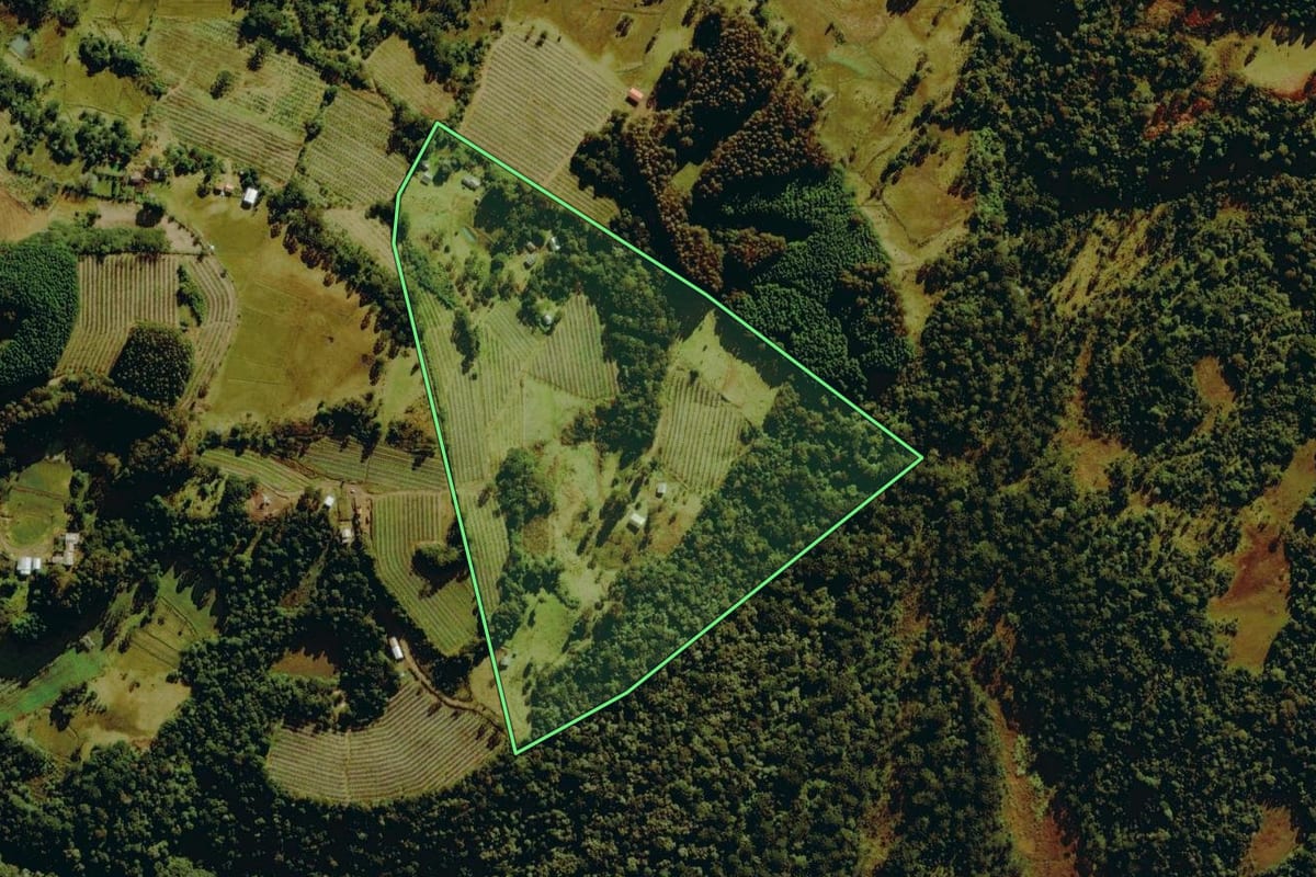 Imagem de satélite do imóvel rural em Bom Jardim da Serra (SC), com o contorno declarado no CAR desenhado por cima.