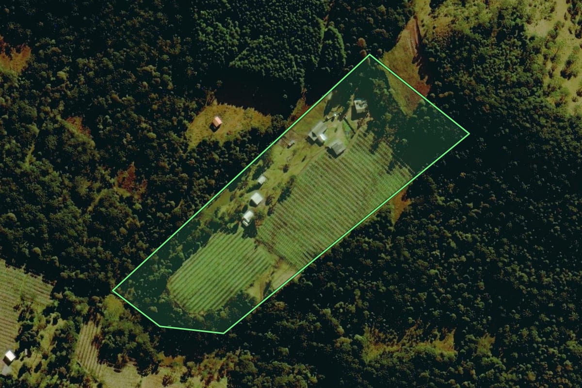 Imagem de satélite do imóvel rural em Bom Jardim da Serra (SC), com o contorno declarado no CAR desenhado por cima.