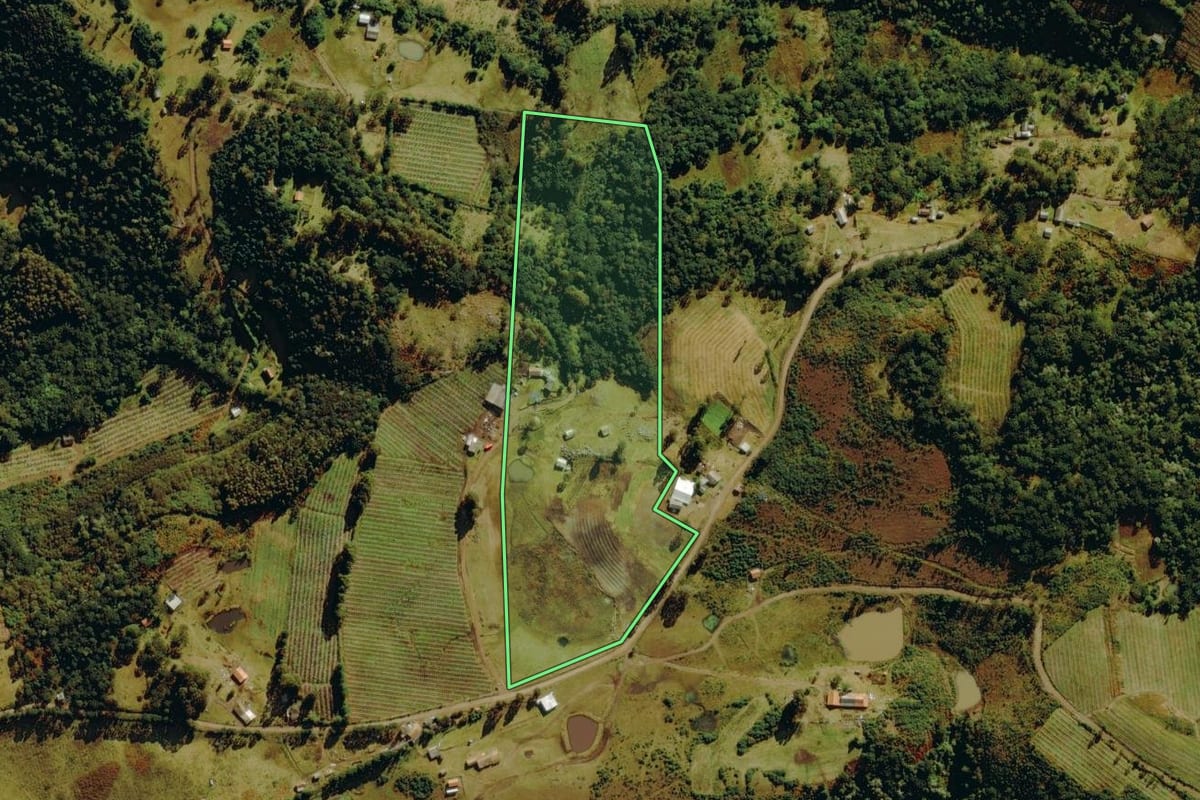 Imagem de satélite do imóvel rural em Bom Jardim da Serra (SC), com o contorno declarado no CAR desenhado por cima.