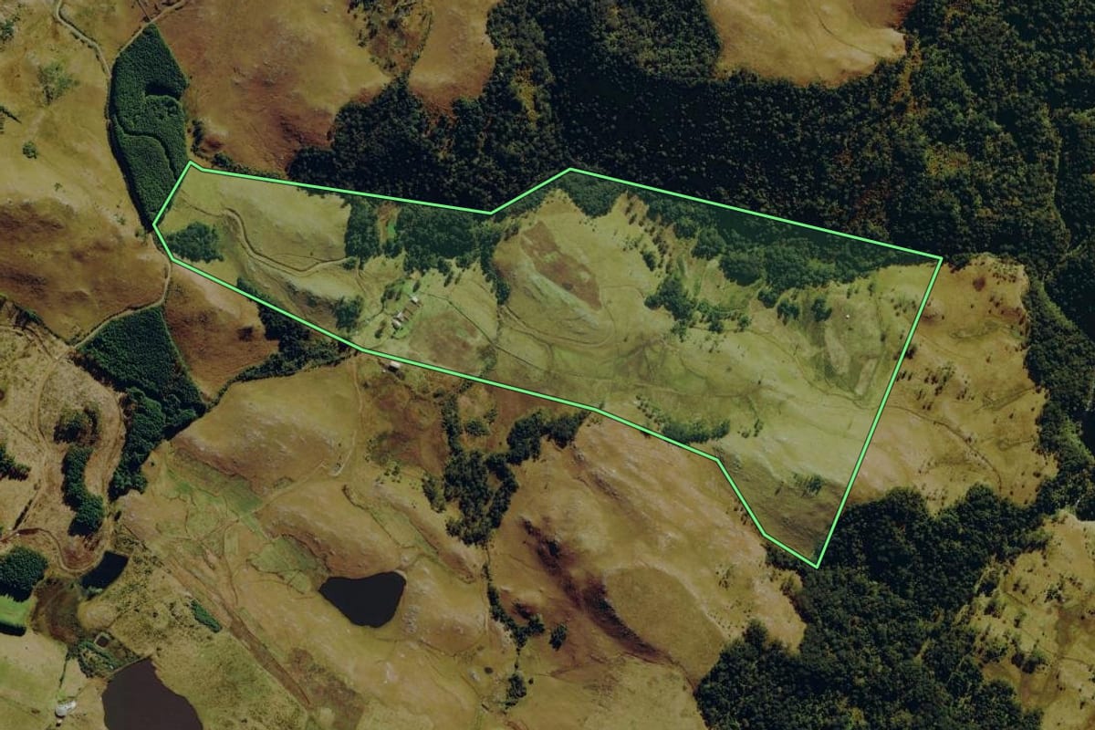 Imagem de satélite do imóvel rural em Bom Jardim da Serra (SC), com o contorno declarado no CAR desenhado por cima.