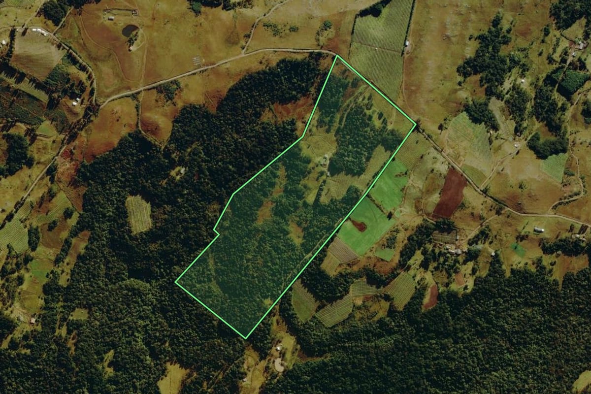 Imagem de satélite do imóvel rural em Bom Jardim da Serra (SC), com o contorno declarado no CAR desenhado por cima.