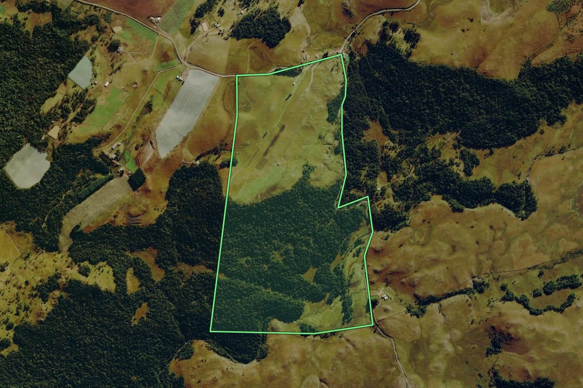 Imagem de satélite do imóvel rural em Bom Jardim da Serra (SC), com o contorno declarado no CAR desenhado por cima.