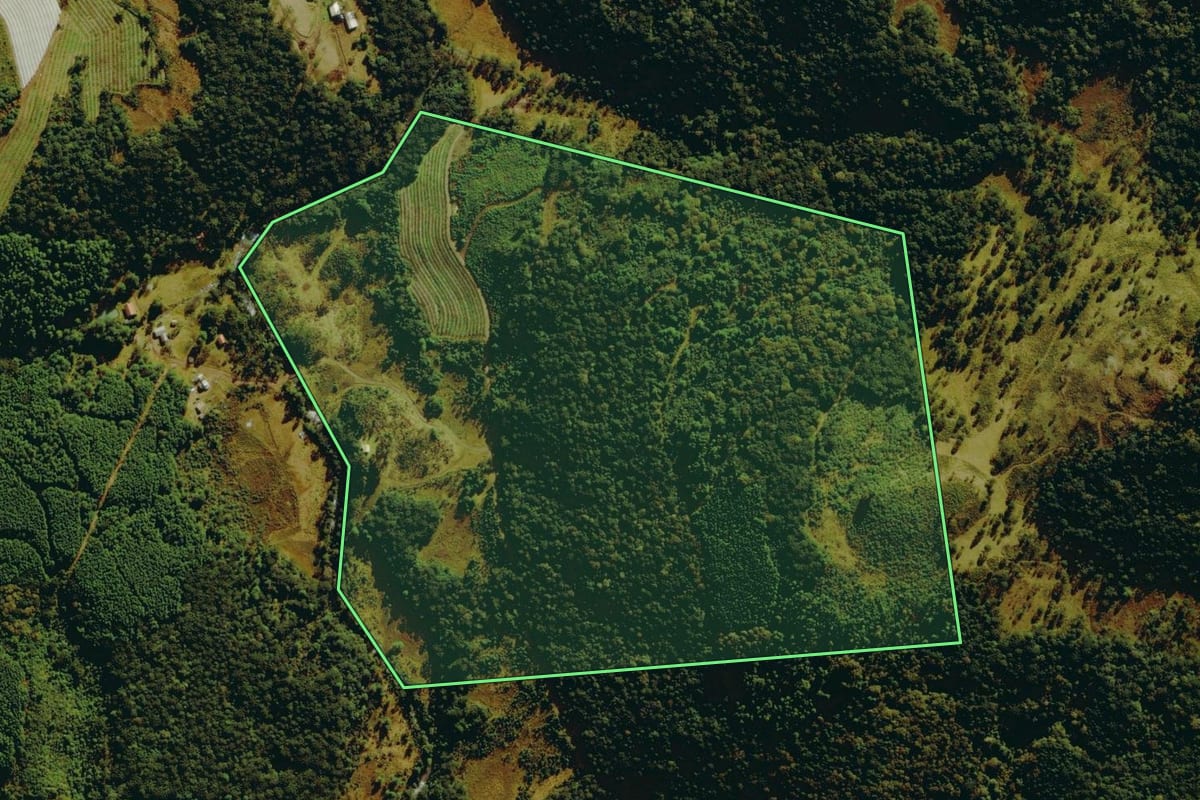 Imagem de satélite do imóvel rural em Bom Jardim da Serra (SC), com o contorno declarado no CAR desenhado por cima.