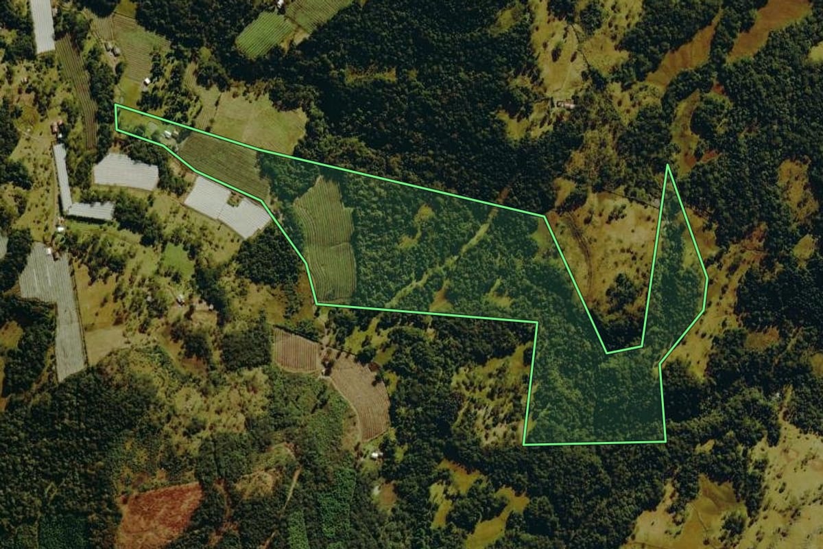 Imagem de satélite do imóvel rural em Bom Jardim da Serra (SC), com o contorno declarado no CAR desenhado por cima.