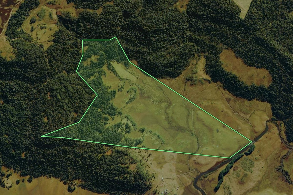 Imagem de satélite do imóvel rural em Bom Jardim da Serra (SC), com o contorno declarado no CAR desenhado por cima.