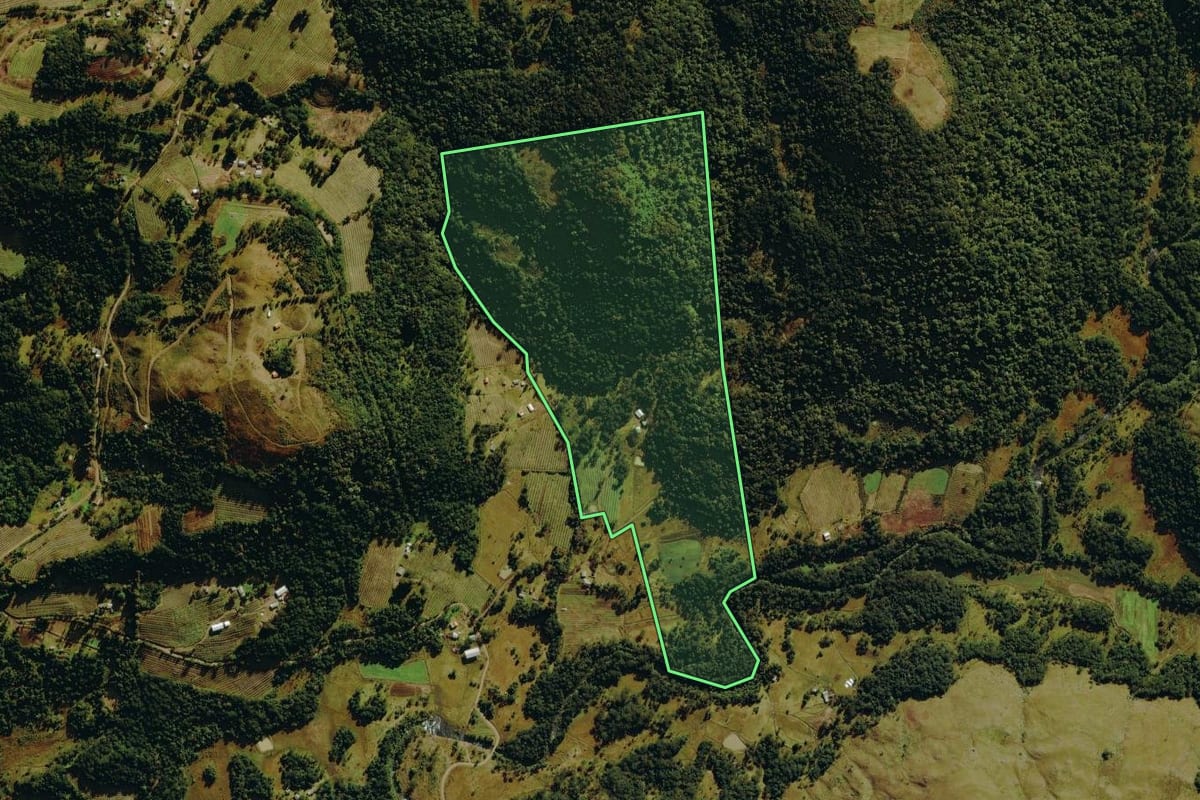Imagem de satélite do imóvel rural em Bom Jardim da Serra (SC), com o contorno declarado no CAR desenhado por cima.