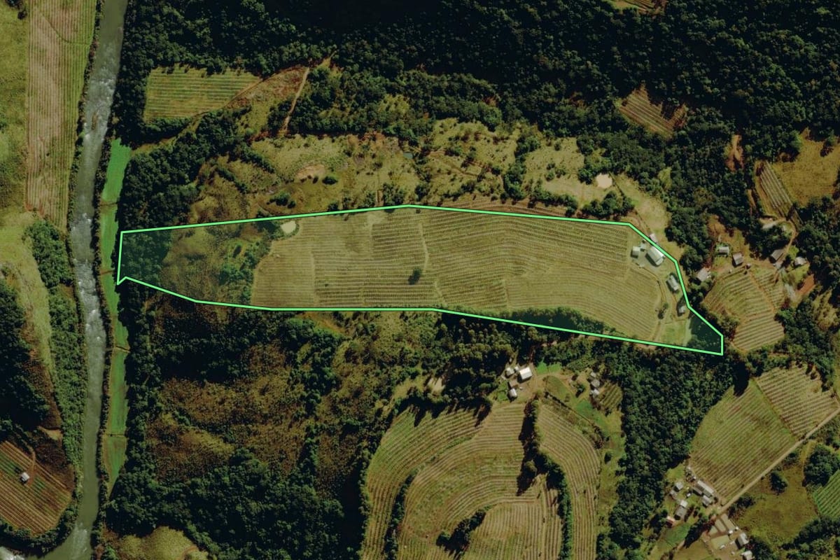 Imagem de satélite do imóvel rural em Bom Jardim da Serra (SC), com o contorno declarado no CAR desenhado por cima.