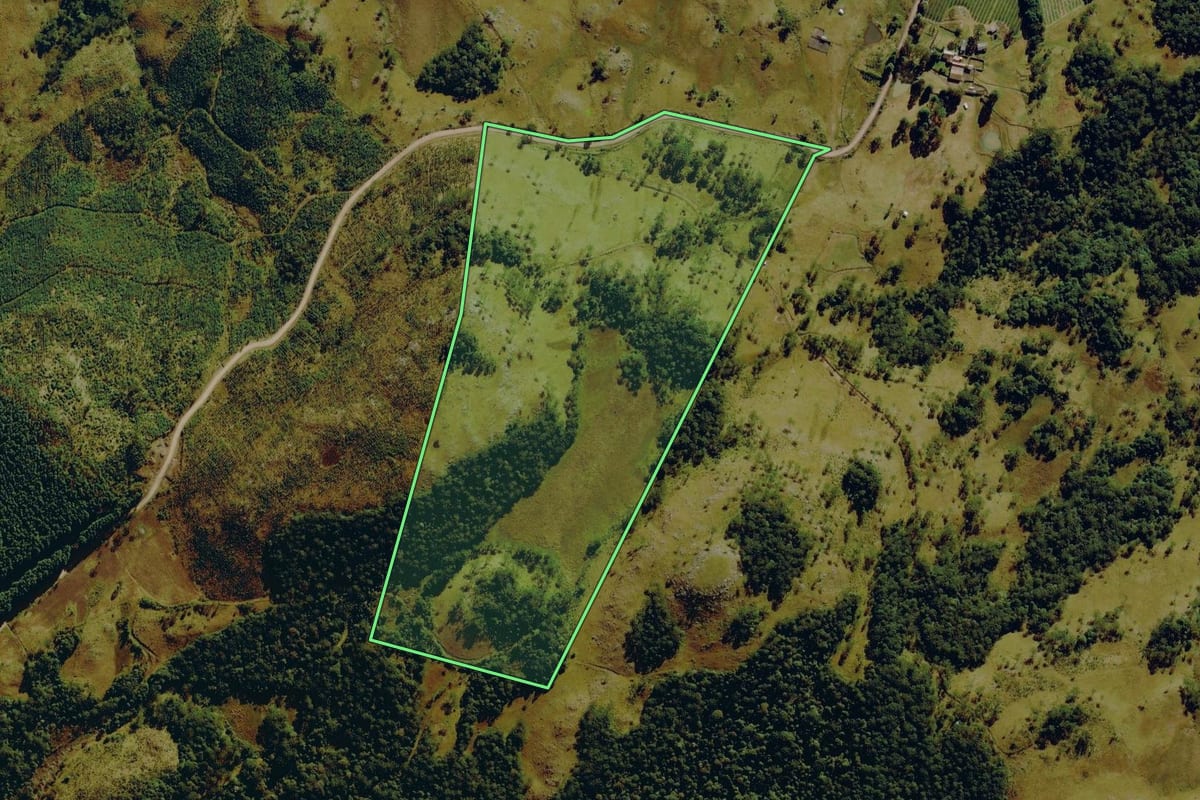 Imagem de satélite do imóvel rural em Bom Jardim da Serra (SC), com o contorno declarado no CAR desenhado por cima.