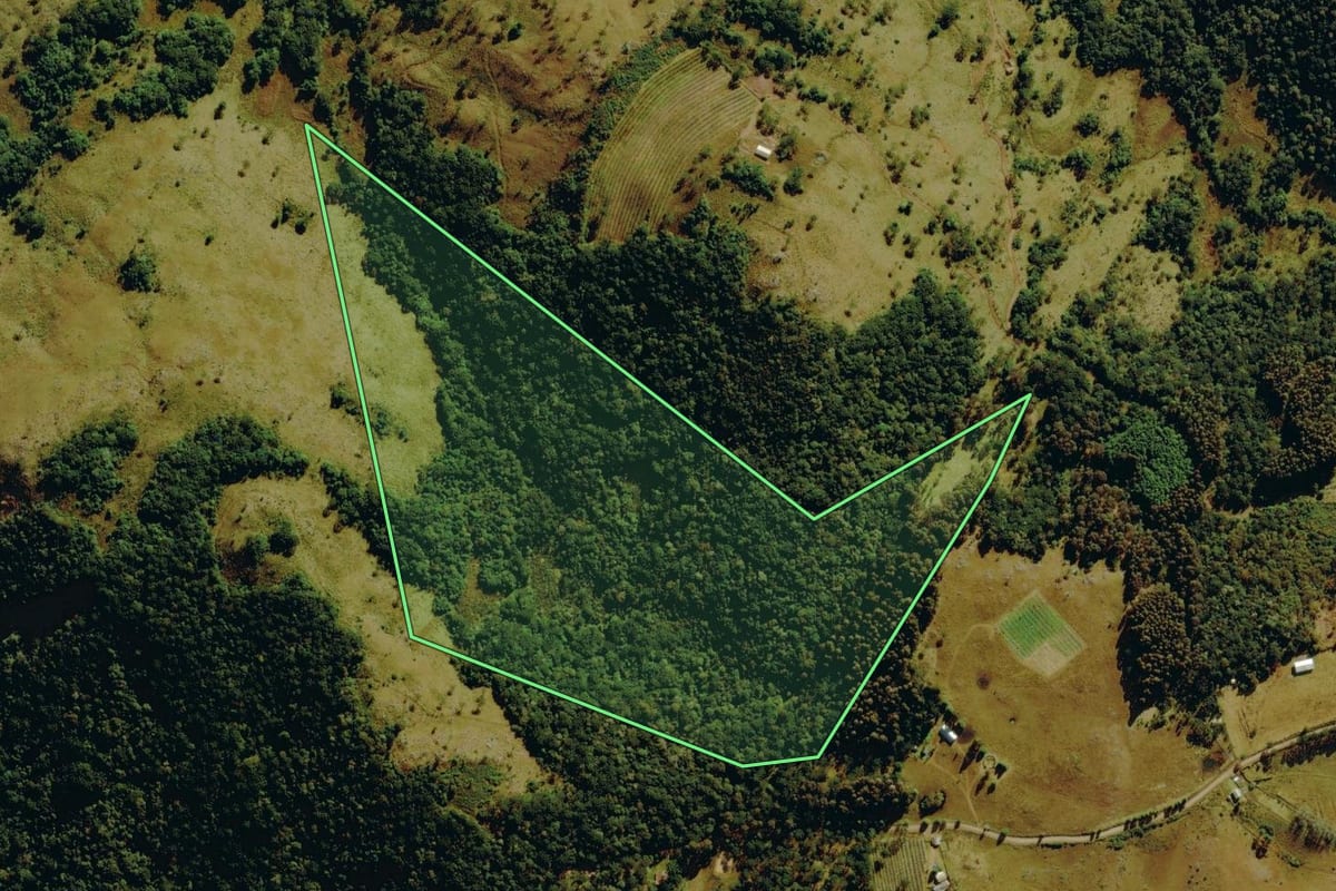 Imagem de satélite do imóvel rural em Bom Jardim da Serra (SC), com o contorno declarado no CAR desenhado por cima.