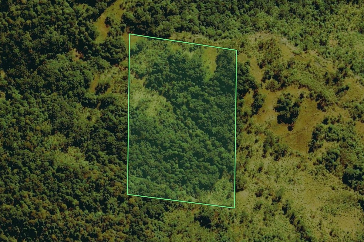 Imagem de satélite do imóvel rural em Bom Jardim da Serra (SC), com o contorno declarado no CAR desenhado por cima.