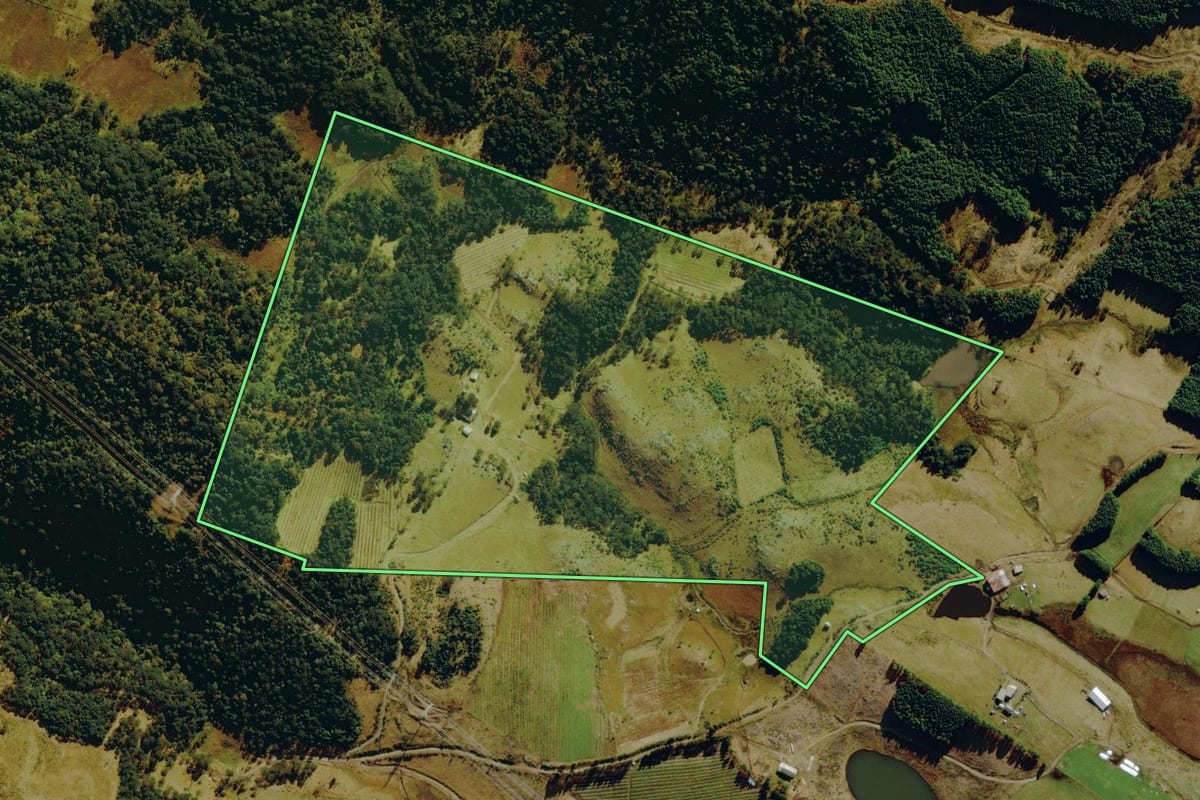 Imagem de satélite do imóvel rural em Bom Jardim da Serra (SC), com o contorno declarado no CAR desenhado por cima.