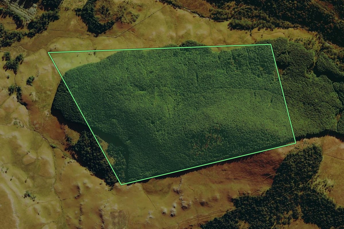 Imagem de satélite do imóvel rural em Bom Jardim da Serra (SC), com o contorno declarado no CAR desenhado por cima.