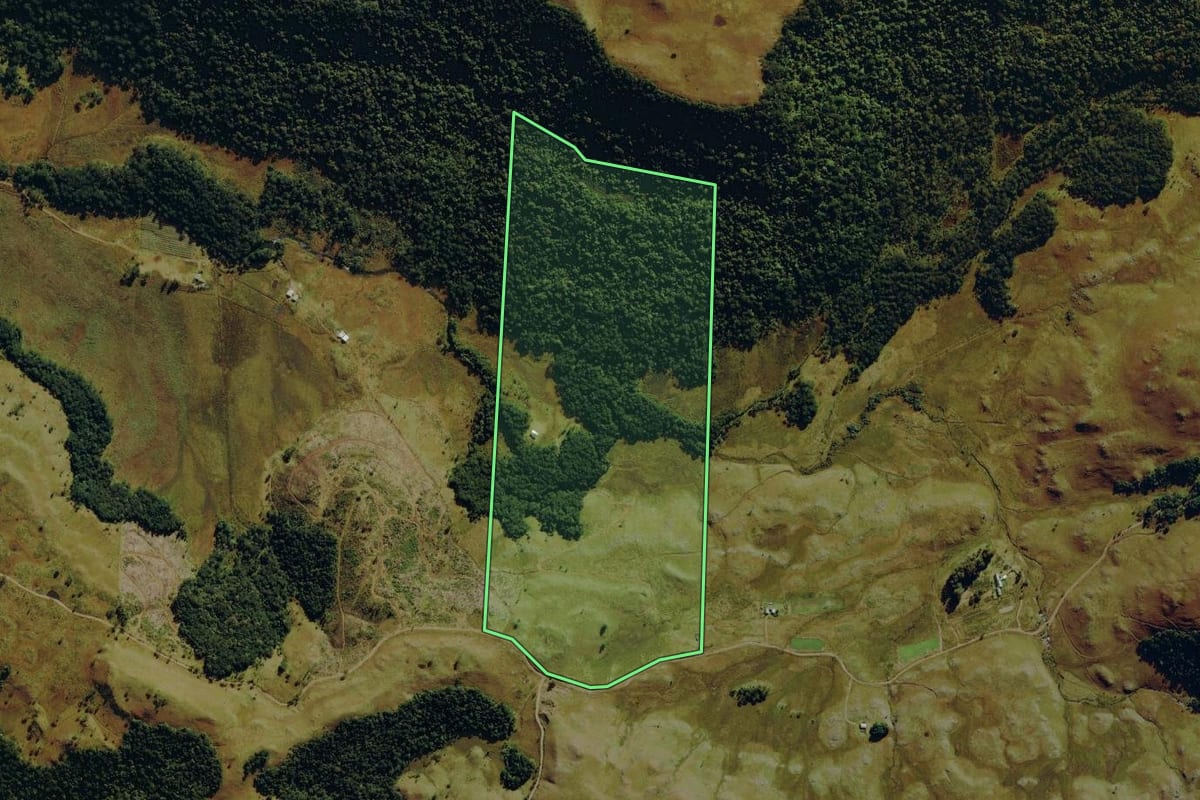 Imagem de satélite do imóvel rural em Bom Jardim da Serra (SC), com o contorno declarado no CAR desenhado por cima.