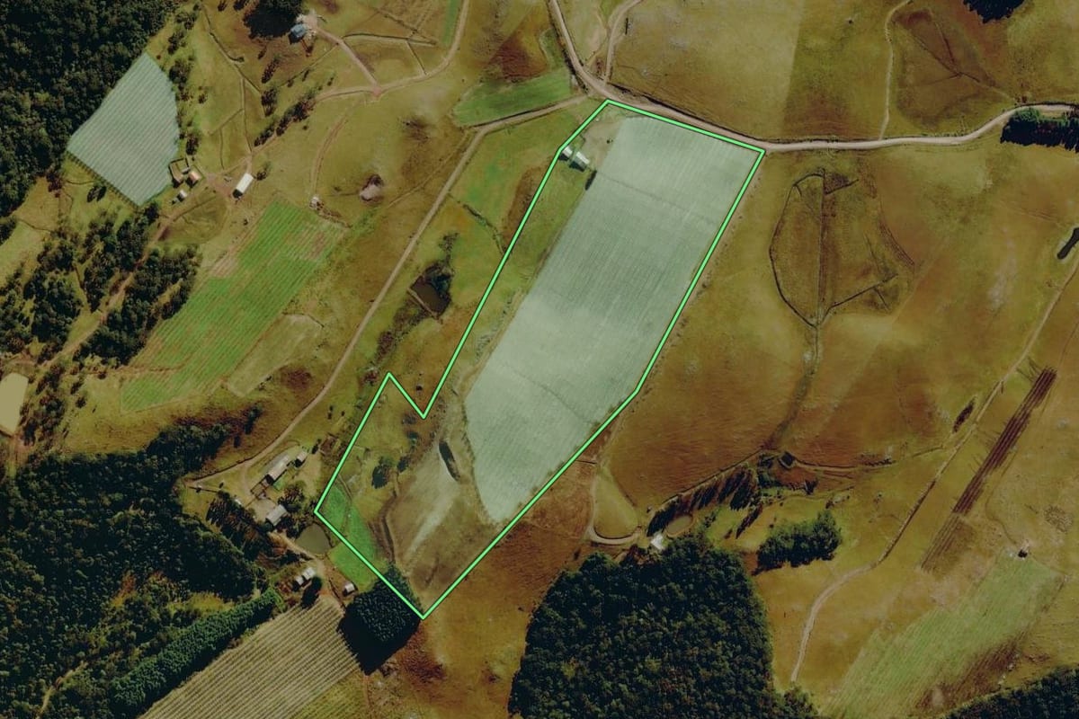 Imagem de satélite do imóvel rural em Bom Jardim da Serra (SC), com o contorno declarado no CAR desenhado por cima.