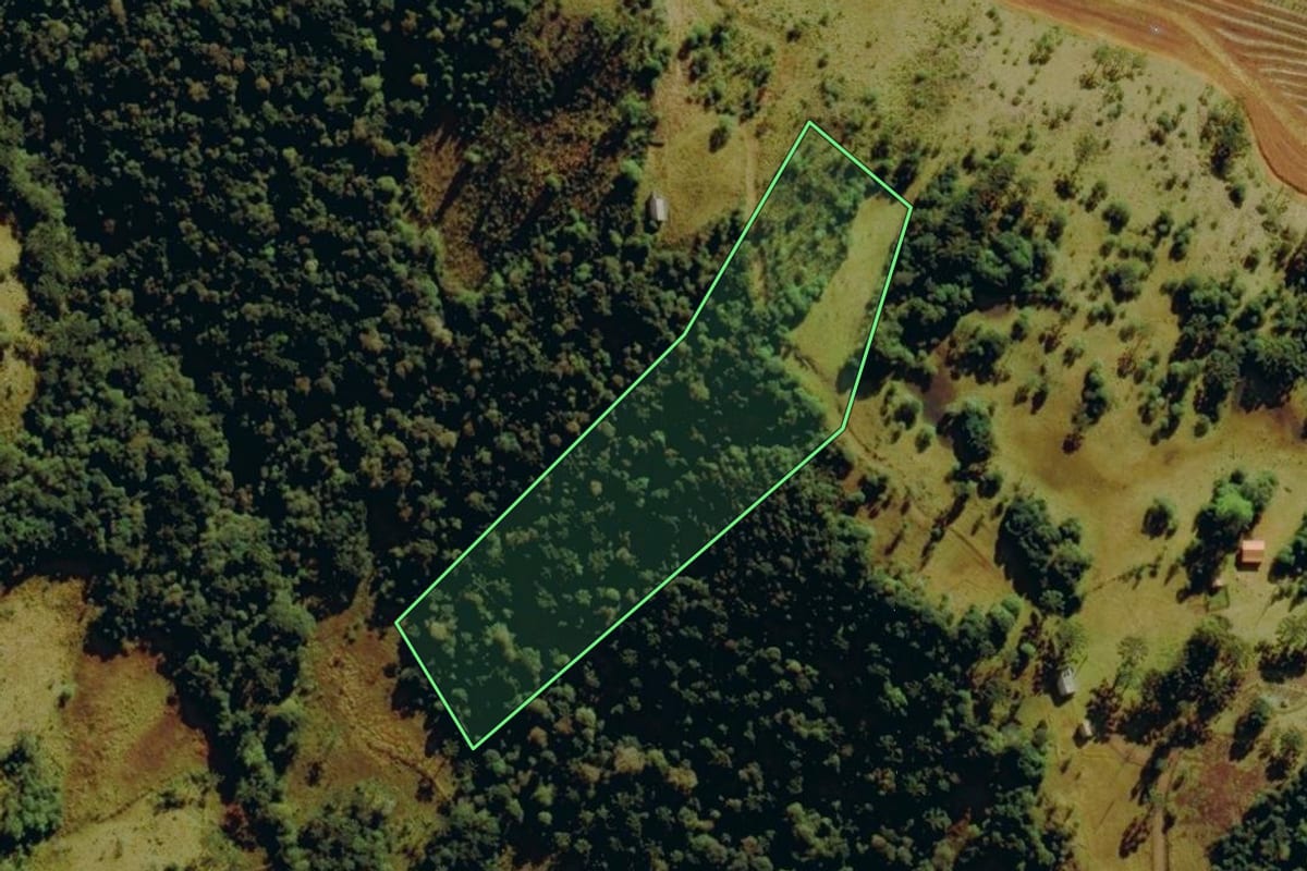 Imagem de satélite do imóvel rural em Bom Jardim da Serra (SC), com o contorno declarado no CAR desenhado por cima.