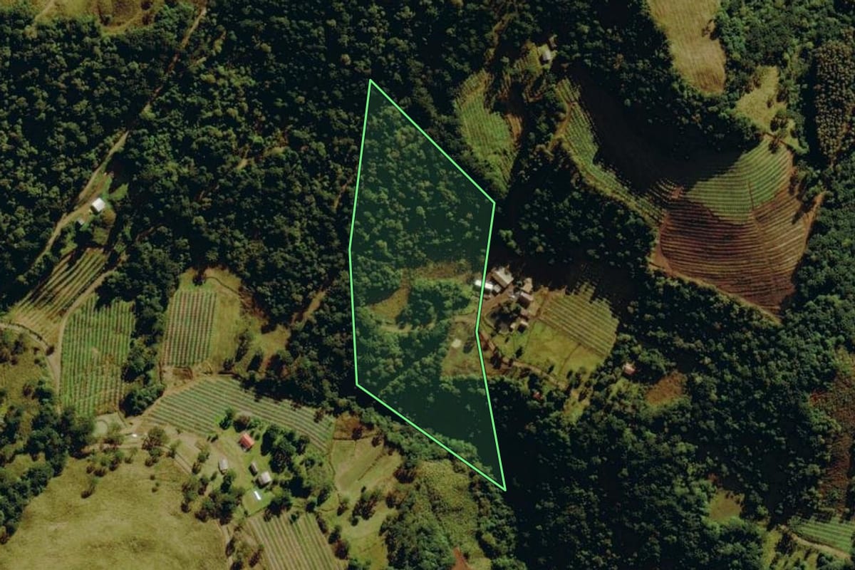 Imagem de satélite do imóvel rural em Bom Jardim da Serra (SC), com o contorno declarado no CAR desenhado por cima.