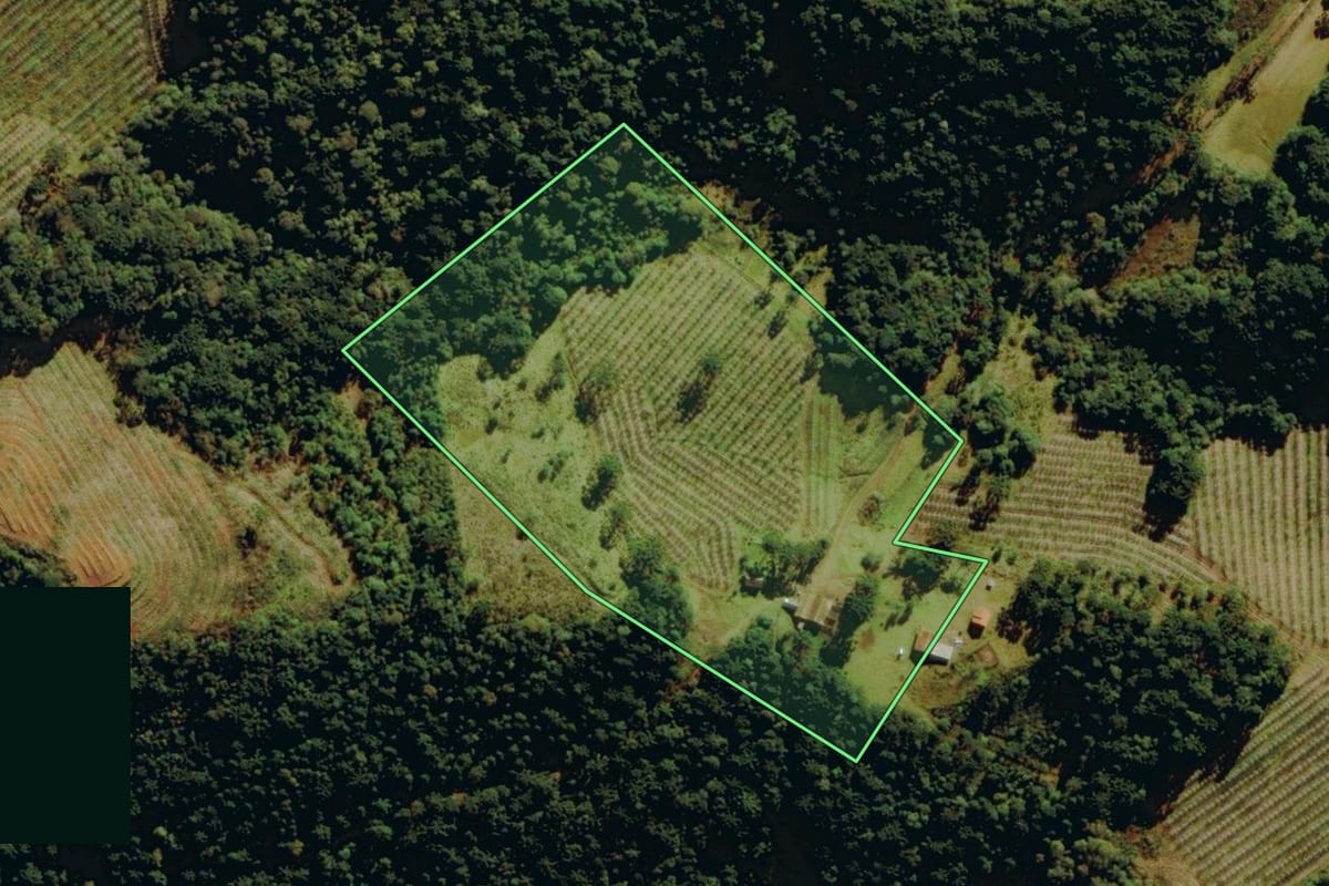 Imagem de satélite do imóvel rural em Bom Jardim da Serra (SC), com o contorno declarado no CAR desenhado por cima.