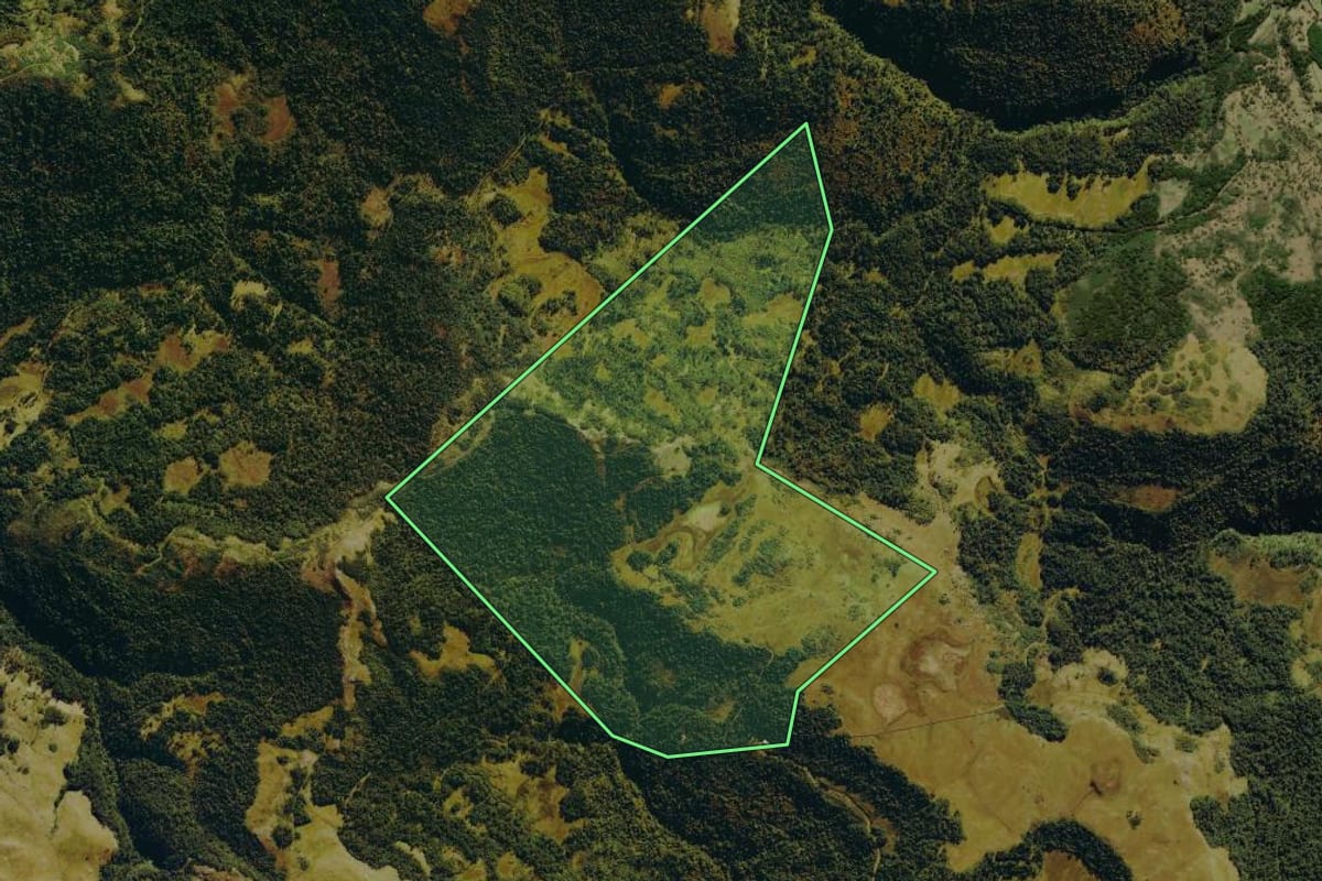 Imagem de satélite do imóvel rural em Bom Jardim da Serra (SC), com o contorno declarado no CAR desenhado por cima.