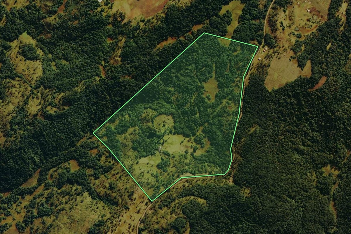 Imagem de satélite do imóvel rural em Bom Jardim da Serra (SC), com o contorno declarado no CAR desenhado por cima.