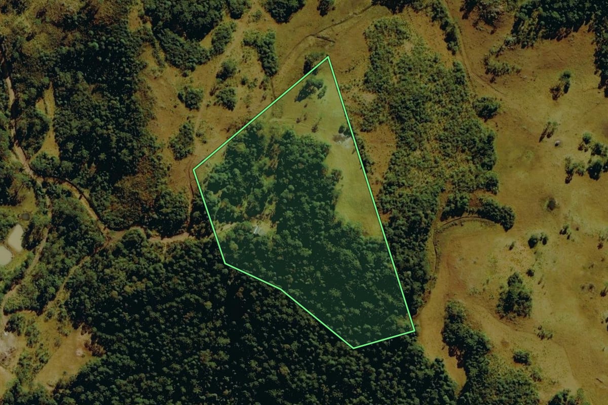 Imagem de satélite do imóvel rural em Bom Jardim da Serra (SC), com o contorno declarado no CAR desenhado por cima.