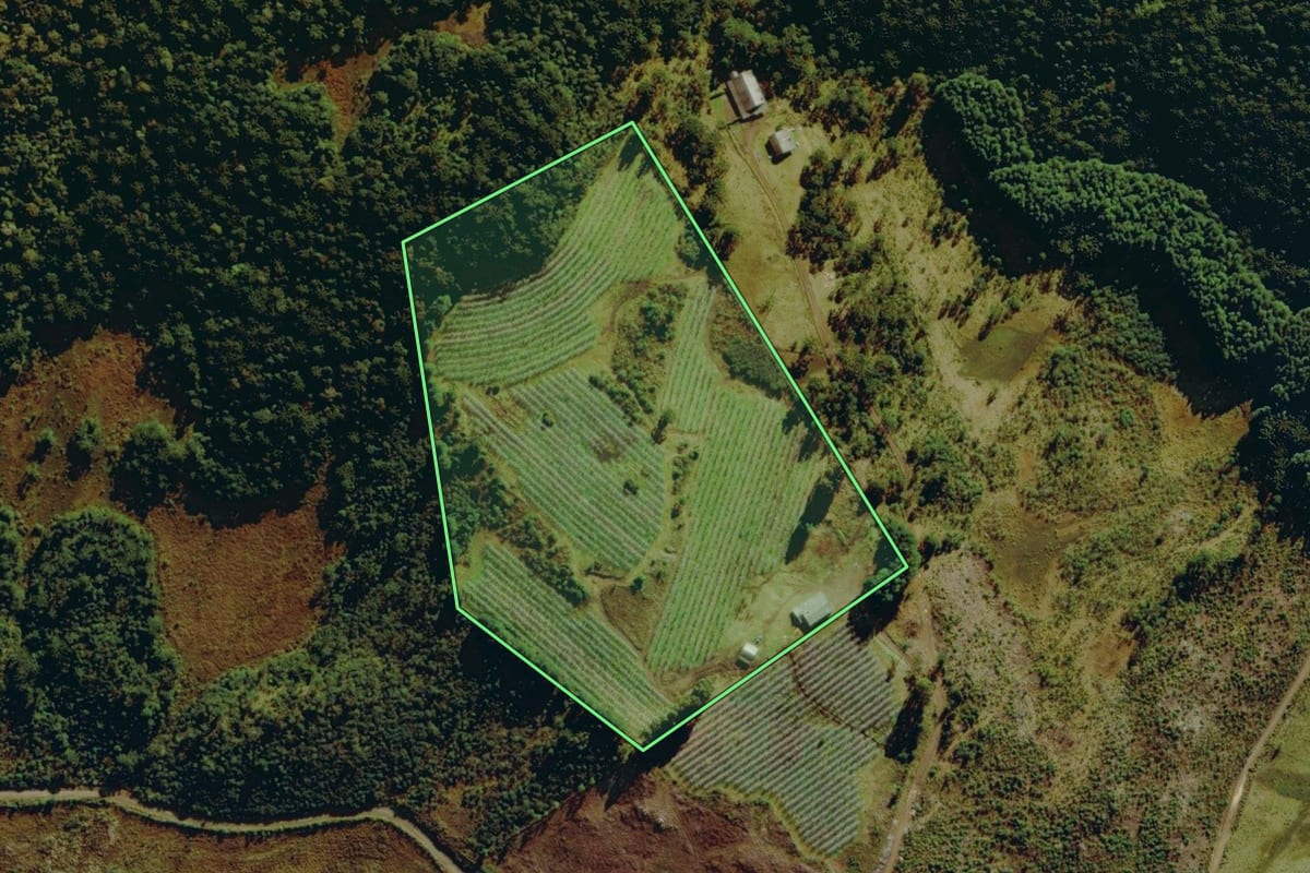 Imagem de satélite do imóvel rural em Bom Jardim da Serra (SC), com o contorno declarado no CAR desenhado por cima.